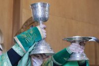 14-Служение епископа Амфилохия в день памяти преподобного Серафима Саровского