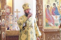 20-Служение епископа Амфилохия в 11-ю Неделю по Пятидесятнице