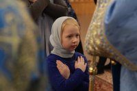25-Служение епископа Амфилохия в канун праздника Введения во храм Пресвятой Богородицы
