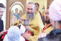 33-Архипастырское служение Неделю 7-ю по Пятидесятнице