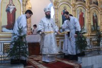 14-Архипастырский визит в Свято-Зиновьевский храм
