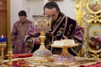 24-Божественная Литургия в Неделю Торжества Православия