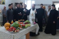 46-Преобразился еси на горе, Христе Боже.  Архипастырский визит в город Шемонаиха.