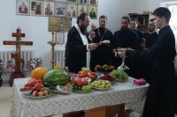 47-Преобразился еси на горе, Христе Боже.  Архипастырский визит в город Шемонаиха.