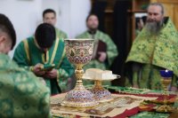 31-Божественная Литургия в день Вербного воскресения в главном храме Восточного Казахстана
