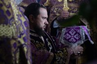 28-Служение епископа Амфилохия в Неделю 2-ю Великого поста