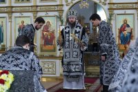 17-Служение епископа Амфилохия в Великую Среду