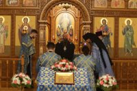 8-Служение епископа Амфилохия в канун праздника Введения во храм Пресвятой Богородицы