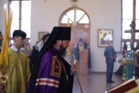 11-Служение епископа Амфилохия в Неделю 17-ю по Пятидесятнице