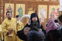 31-Служение епископа Амфилохия в Неделю 17-ю по Пятидесятнице