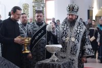 22-В пятницу первой седмицы Великого поста епископ Амфилохий возглавил служение Литургии Преждеосвященных Даров в кафедральном соборе