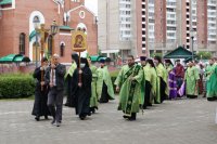 21-Служение епископа Амфилохия в канун праздника Святой Троицы