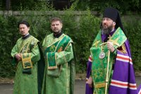 22-Служение епископа Амфилохия в канун праздника Святой Троицы