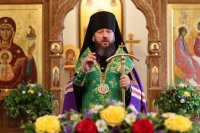 37-Служение епископа Амфилохия в канун праздника Святой Троицы
