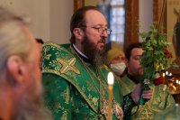 43-Служение епископа Амфилохия в канун праздника Святой Троицы
