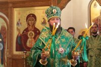 51-Служение епископа Амфилохия в канун праздника Святой Троицы