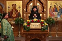 52-Служение епископа Амфилохия в канун праздника Святой Троицы