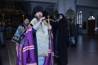 10-Служение епископа Амфилохия  в канун праздника Сретения Господа Бога  и Спаса нашего Иисуса Христа