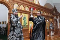 38-Литургия Преждеосвященных Даров в среду третьей седмицы Великого поста
