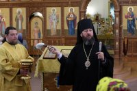54-Служение епископа Амфилохия в Неделю всех русских святых