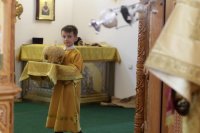 29-Божественная Литургия в Неделю 3-ю по Пятидесятнице