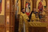 17-В Неделю святых отец епископ Амфилохий совершил Божественную Литургию в Андреевском кафедральном соборе
