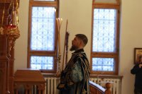 11-Введение во храм Пресвятой Богородицы