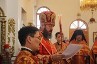 46-Соборное служение Божественной Литургии в Андреевском кафедральном соборе