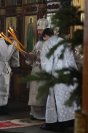 25-Служение епископа Амфилохия в день Собора Пресвятой Богородицы