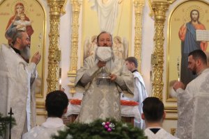 Служение епископа Амфилохия в Неделю по Рождестве Христовом