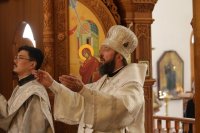 28-Служение епископа Амфилохия в день Троицкой родительской субботы