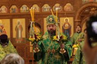 5-Вход Господень в Иерусалим. Божественная Литургия в Андреевском кафедральном соборе.