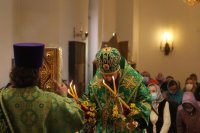 13-Вход Господень в Иерусалим. Божественная Литургия в Андреевском кафедральном соборе.