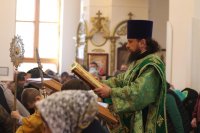 18-Вход Господень в Иерусалим. Божественная Литургия в Андреевском кафедральном соборе.