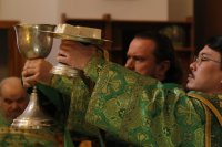 29-Вход Господень в Иерусалим. Божественная Литургия в Андреевском кафедральном соборе.