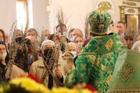 47-Вход Господень в Иерусалим. Божественная Литургия в Андреевском кафедральном соборе.