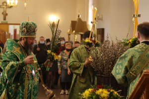 Праздничное всенощное бдение в канун Недели цветоносной
