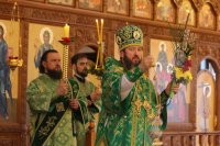 21-Праздничное всенощное бдение в канун Недели цветоносной