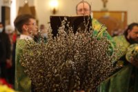 26-Праздничное всенощное бдение в канун Недели цветоносной