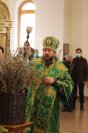 28-Праздничное всенощное бдение в канун Недели цветоносной