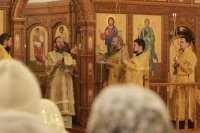 42-Неделя святых праотец. Божественная Литургия в Андреевском кафедральном соборе.