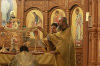 45-Неделя святых праотец. Божественная Литургия в Андреевском кафедральном соборе.