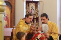 60-Неделя святых праотец. Божественная Литургия в Андреевском кафедральном соборе.