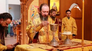 Служение архиепископа Амфилохия в Неделю 8-ю по Пятидесятнице