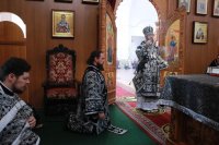 13-Епископ Амфилохий возглавил служение Божественной Литургии Преждеосвященных Даров