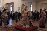 6-В Неделю 5-ю Великого поста епископ Амфилохий совершил Божественную Литургию в Андреевском кафедральном соборе