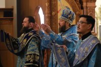 21-Праздник Сретения Господня. Божественная Литургия в Андреевском кафедральном соборе.