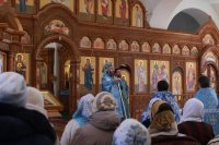 41-Праздник Сретения Господня. Божественная Литургия в Андреевском кафедральном соборе.
