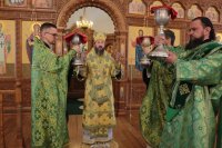 43-Божественная Литургия в день Вербного воскресения