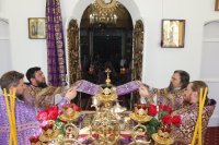 35-В день Воздвижения Креста Господня архиепископ Амфилохий совершил Божественную Литургию в соборе в честь Воскресения Христова